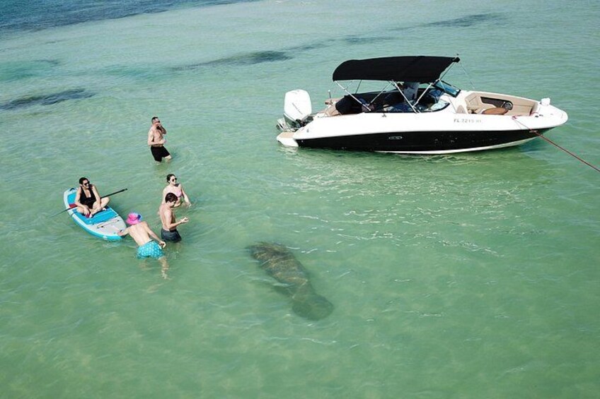 Een boot, mensen in het water en een schildpad. 4