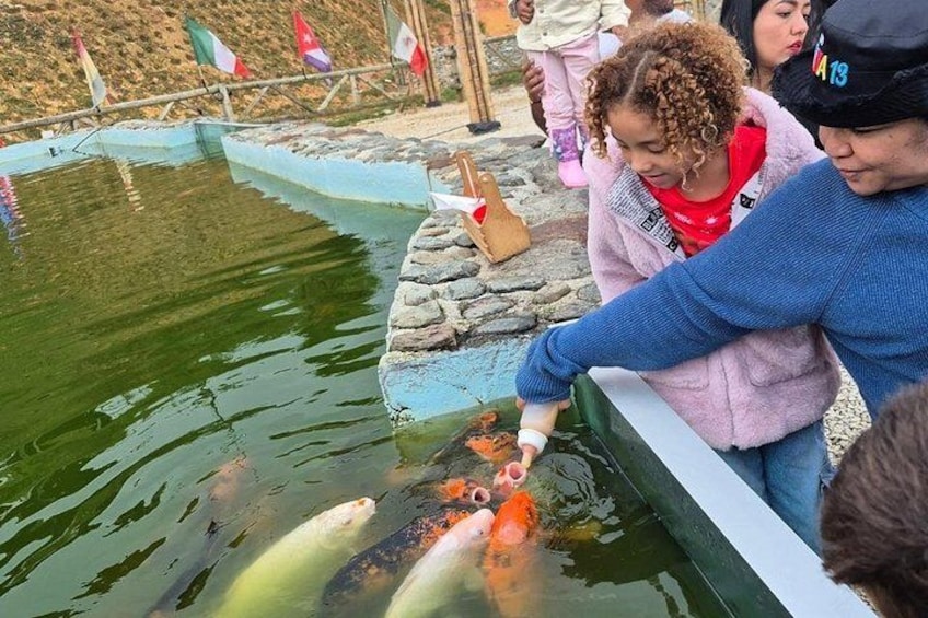Guatape and Stone of the Rock and Boat Tour and Farm 5