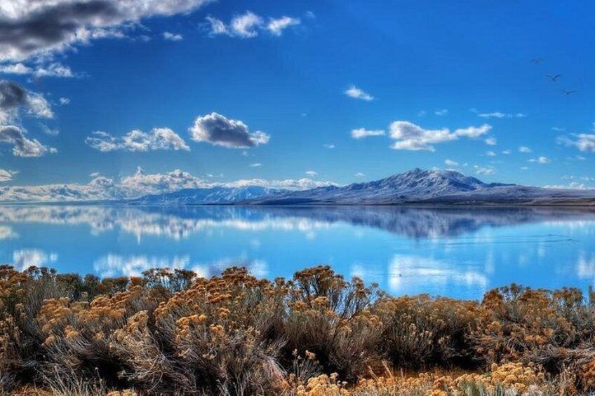 A calm lake with a mountain in the background and dry shrubs in the foreground. 1