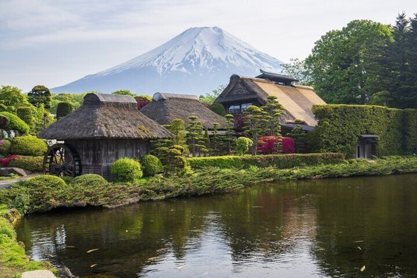 Private Mount Fuji Five Lakes Tour from Tokyo with Guide