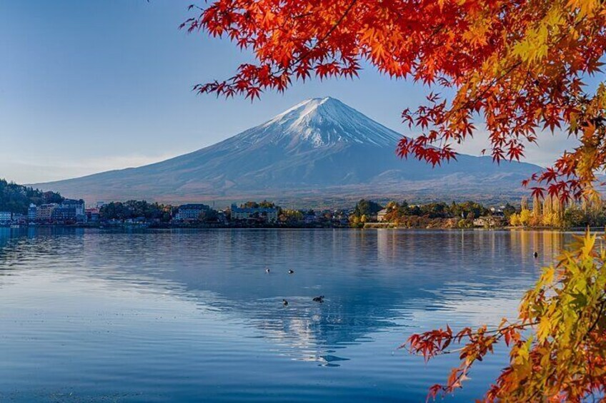 Private Mount Fuji Five Lakes Tour from Tokyo with Guide