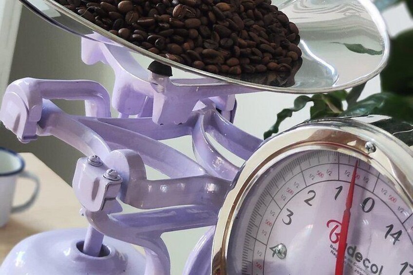 Une balance violette, surmontée d’un récipient pour les grains de café et dotée d’un cadran avec des graduations pour les mesures. 5