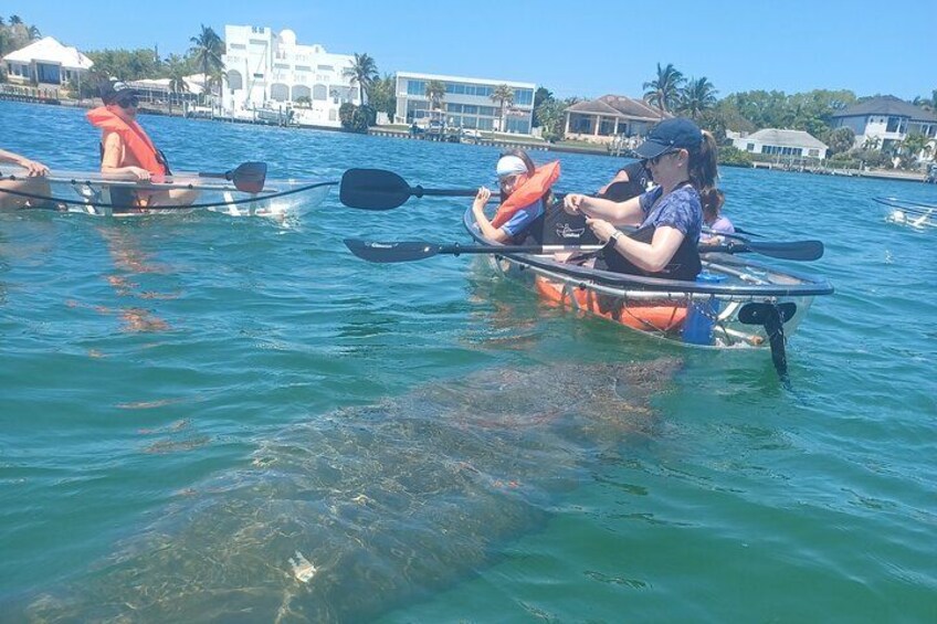 People kayaking on a calm body of water with a large fish visible in the foreground. 3