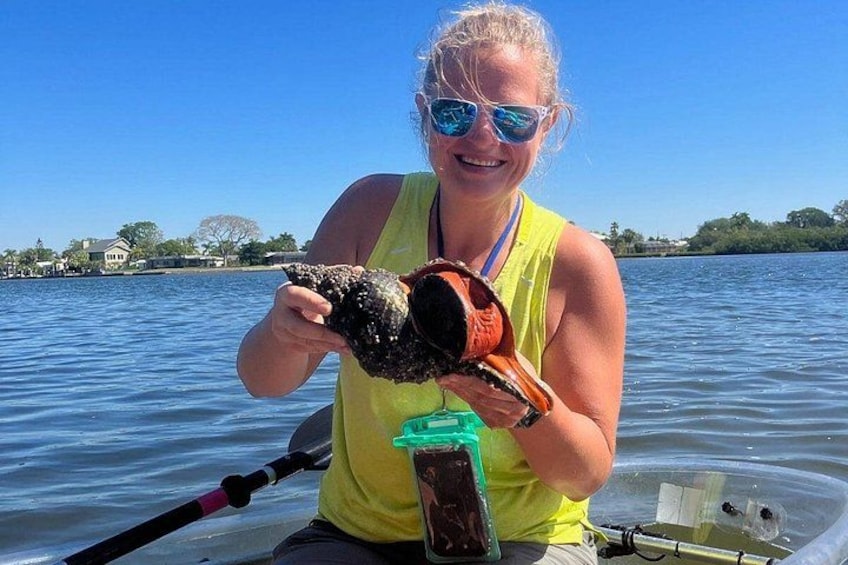 A person holding a large fish on a boat. 1