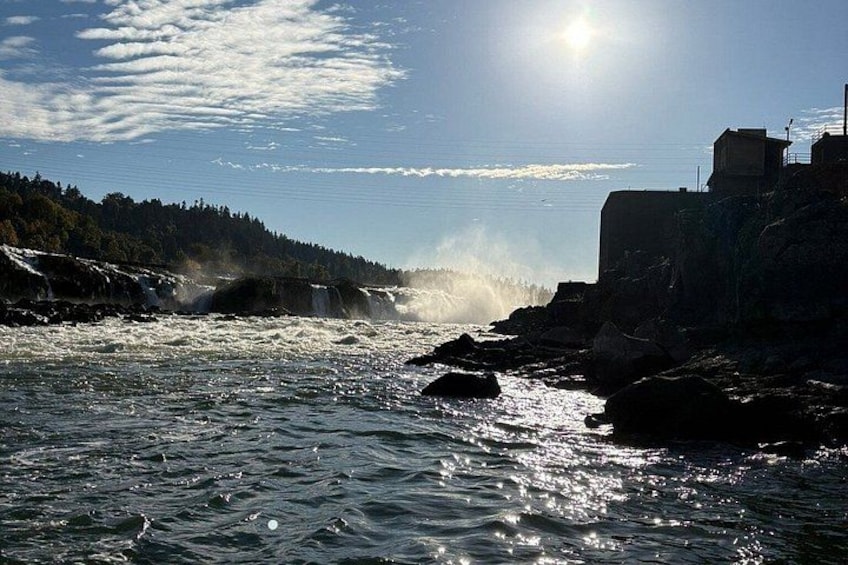 Scenic 2-Hour River Cruise to the Willamette Falls! 5