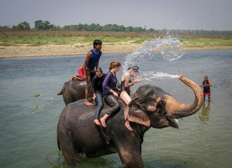 Picture 29 for Activity Kathmandu/Pokhara-3 Day All-Inclusive Chitwan Jungle Safari 4