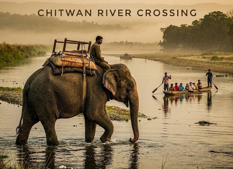 Picture 27 for Activity Kathmandu/Pokhara-3 Day All-Inclusive Chitwan Jungle Safari 2