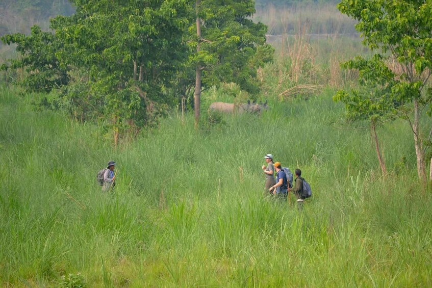Picture 24 for Activity Kathmandu/Pokhara-3 Day All-Inclusive Chitwan Jungle Safari 5