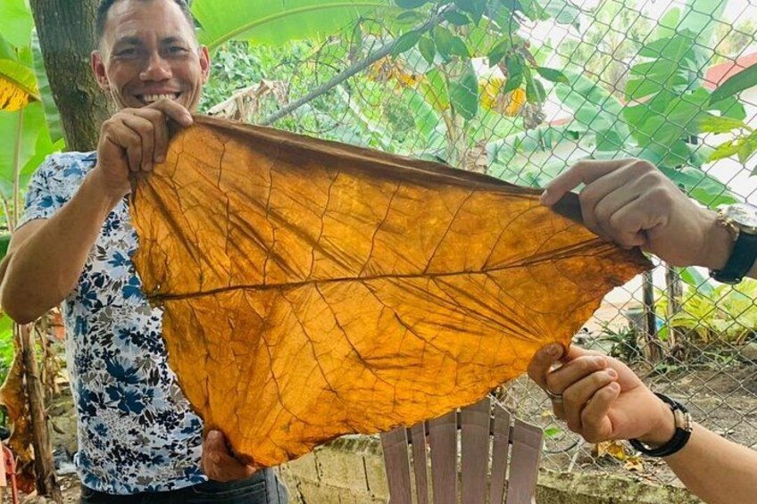 A person holding a large, orange, net-like fabric. 4