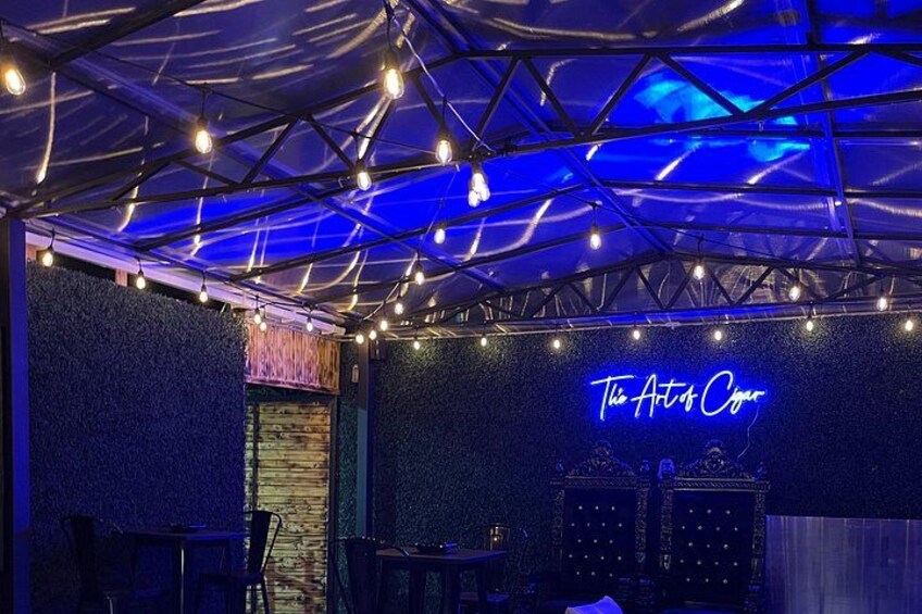 An indoor venue with a neon sign reading 'The Art of Color,' string lights, and a dark blue textured wall. 2