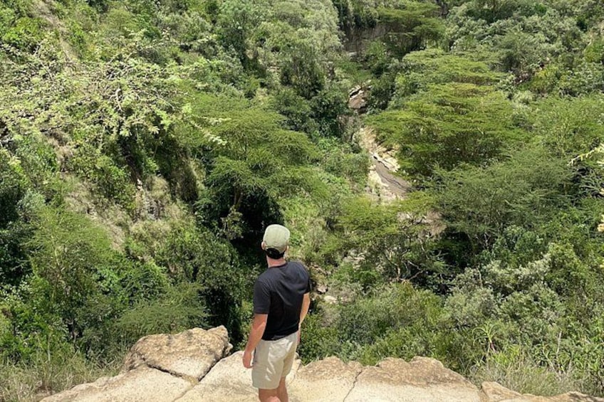 Una persona está de pie sobre una roca, contemplando un exuberante valle verde. 3