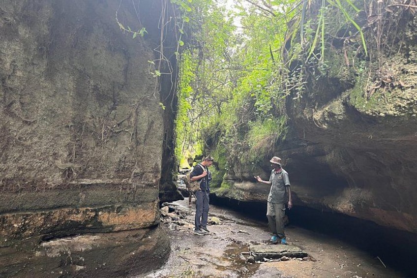 Dos personas en una cueva con paredes rocosas y vegetación escasa. 5