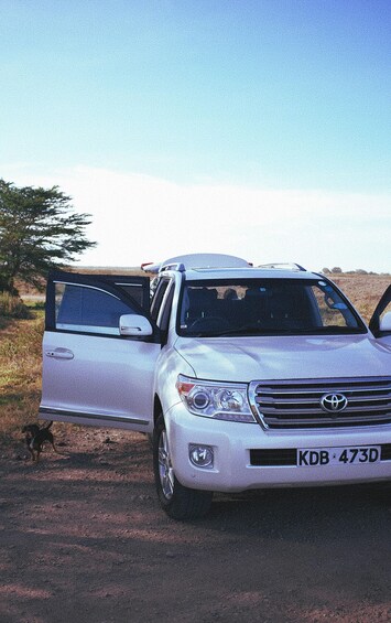 Picture 12 for Activity Pokhara: Private Toyota Land Cruiser Prado Hire with Driver 2