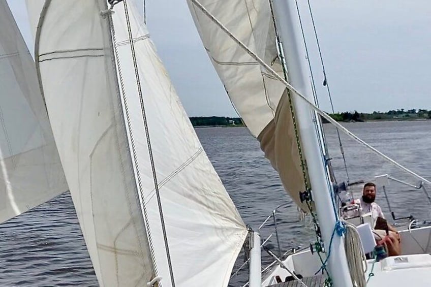 A sailboat with white sails on calm water, a person steering, and a distant shoreline. 2