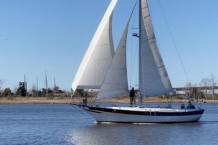 Sailing Charters in Wilmington 5