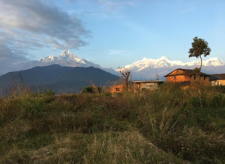 Picture 41 for Activity Pokhara: 2-Day Ullerai, Ghorepani & Poon Hill - Sunrise Trek 4