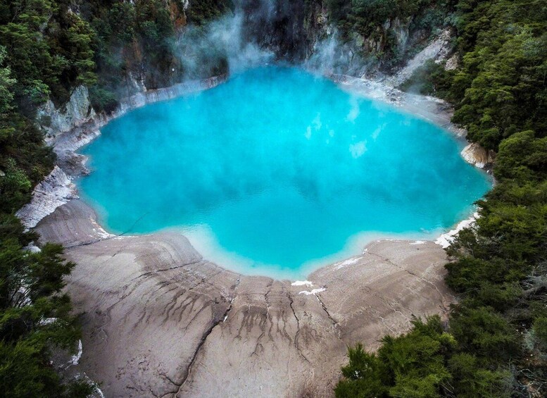 Picture 5 for Activity From Rotorua: Wai-O-Tapu, Waimangu and Te Puia Full-Day Tour 5