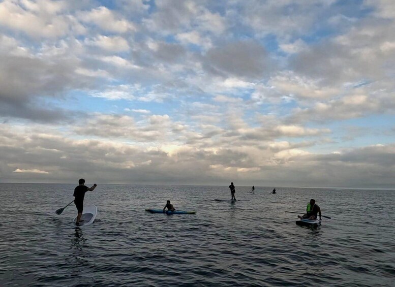 Picture 13 for Activity Puerto Vallarta: Guided SUP Board Tour with Digital Photos 3