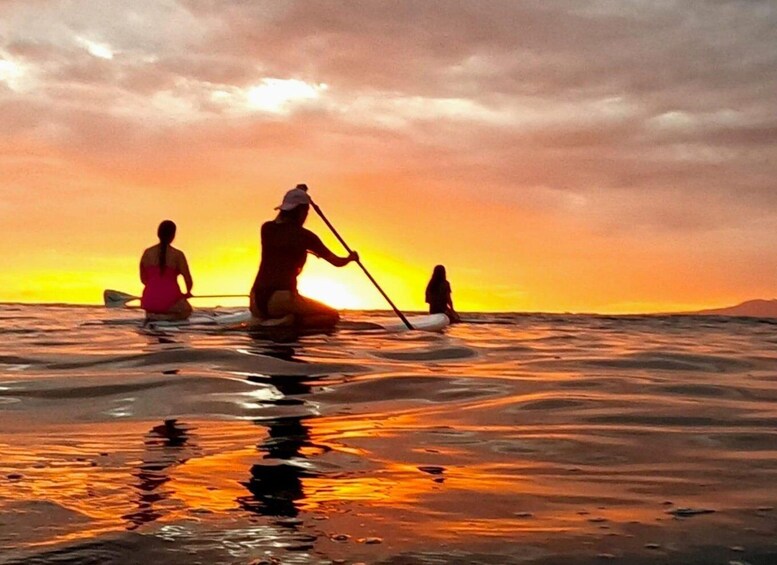 Picture 12 for Activity Puerto Vallarta: Guided SUP Board Tour with Digital Photos 5