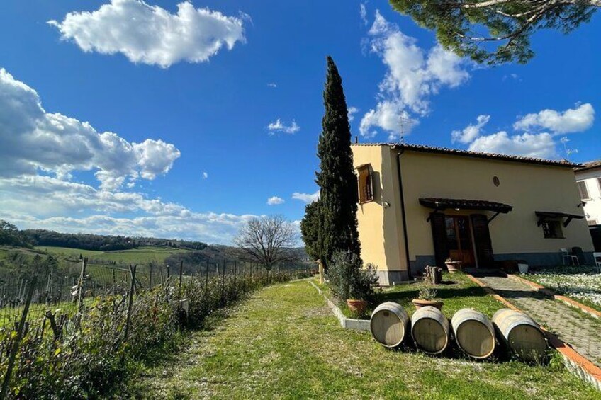 Truffle Hunting in Chianti, pasta class and lunch 3