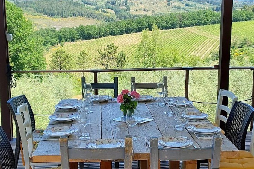 Truffle Hunting in Chianti, pasta class and lunch 4