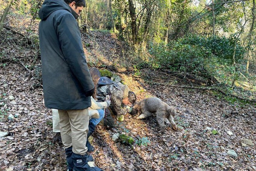 Truffle Hunting in Chianti, pasta class and lunch 3