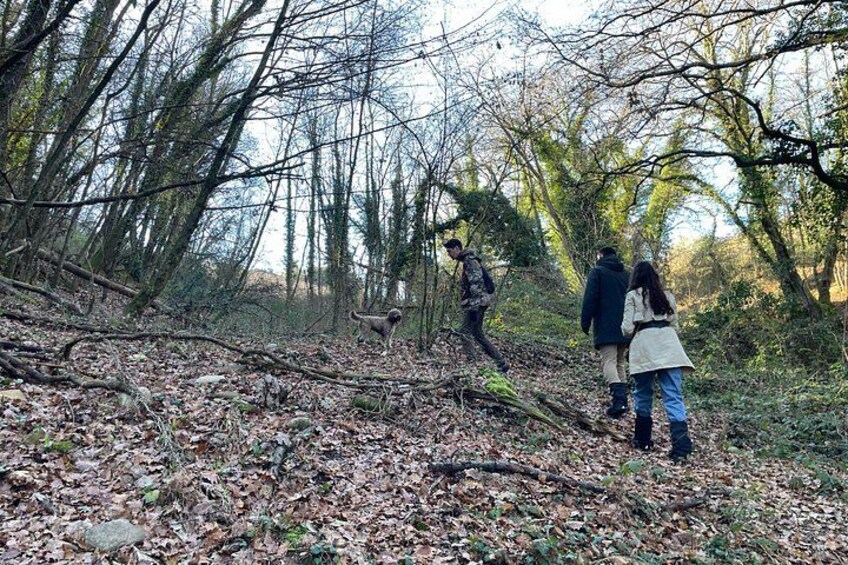 Truffle Hunting in Chianti, pasta class and lunch 1