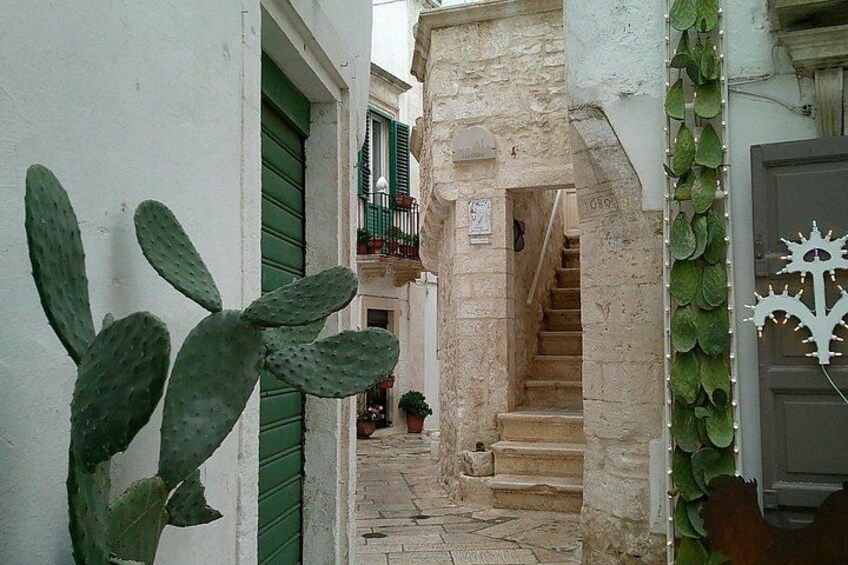 Locorotondo, Alberobello, Martina Franca departing from Taranto 5