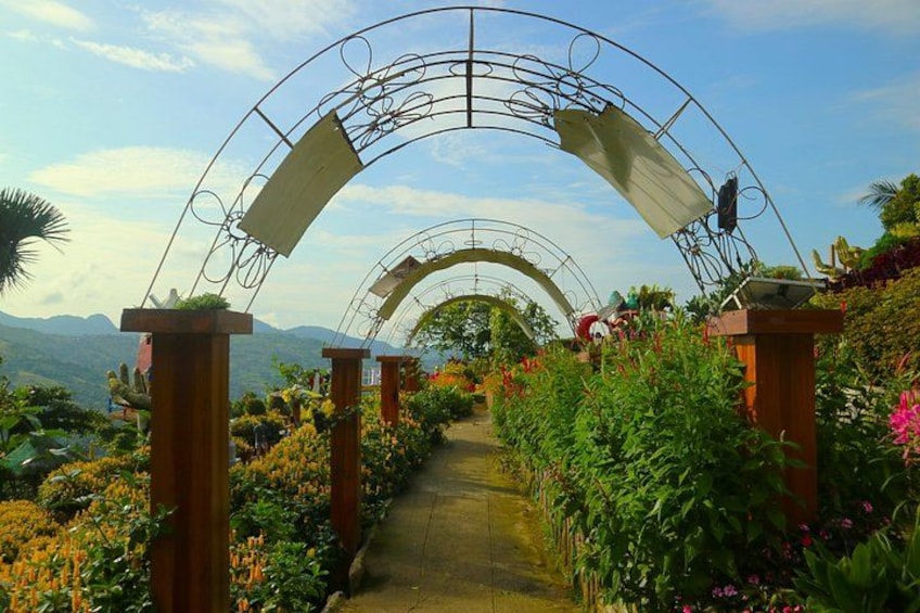 Cebu Highlands Tour (Tops,Taoist temple, Leah and sirao garden) 4