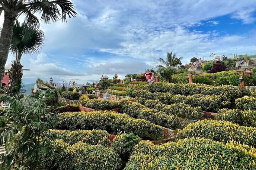 Un jardín ajardinado con diversas plantas y árboles. 1