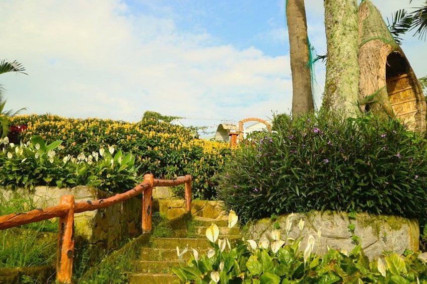 Cebu Highlands Tour (Tops,Taoist temple, Leah and sirao garden) 3