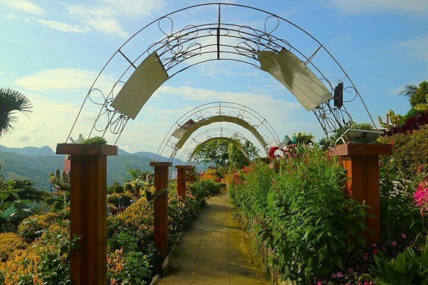 Cebu Highlands Tour (Tops,Taoist temple, Leah and sirao garden) 2