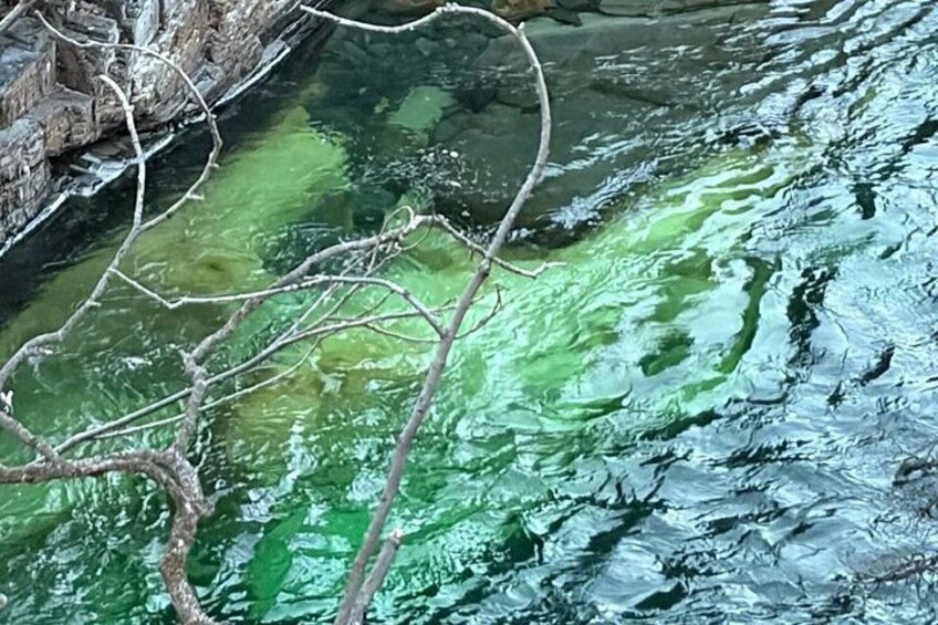 A river with clear water, a tree branch in the foreground, and rocky banks. 2