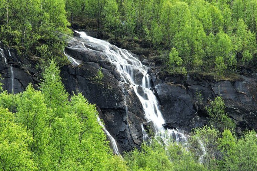 A waterfall cascading over dark rocks surrounded by lush green trees. 4