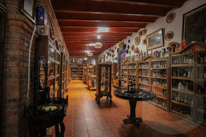 Private Tour to Tequilera Corralejo and Piramides Zone 4