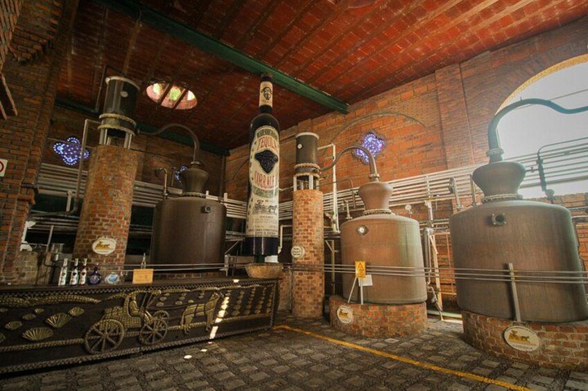 Private Tour to Tequilera Corralejo and Piramides Zone 1