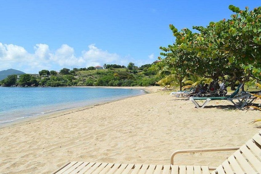 A beach with clear blue water, sandy shore, and lounge chairs under a tree. 5