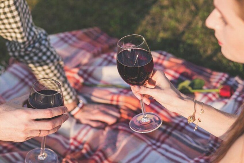 Dos personas sosteniendo copas de vino, una manta escocesa y una rosa roja sobre una mesa de picnic. 3