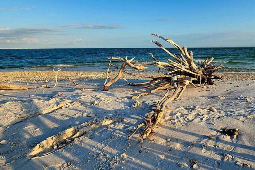 A beach with driftwood and pebbles. 4