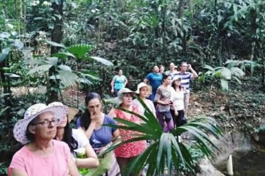 Chocolate and Coffee Tour Farm Don Jorge 3