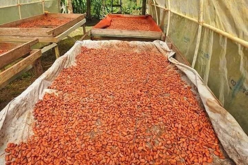 Amplio espacio abierto con numerosos sacos llenos de objetos rojos, posiblemente alimentos, bajo una estructura cubierta. 3