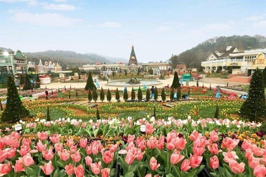 Everland Theme Park Korea 3