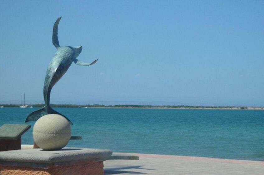 Full-Day Tour of La Paz and Todos Santos 4