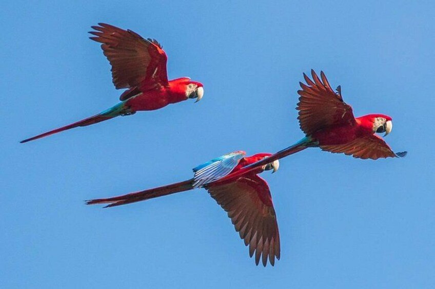 UTV Thrills & Horseback Ride at Wildlife Paradise Near Cartagena 5