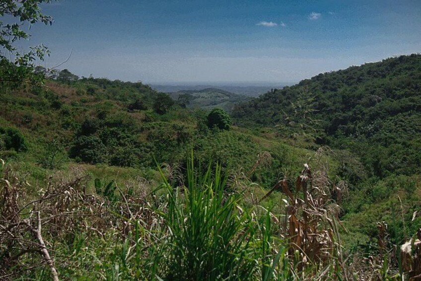 UTV Thrills & Horseback Ride at Wildlife Paradise Near Cartagena 4