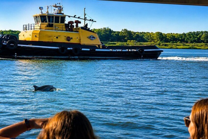 A large yellow boat on water with a dolphin swimming nearby. 2