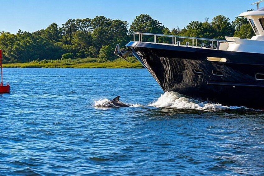A boat on water with a dolphin jumping out of the water. 4