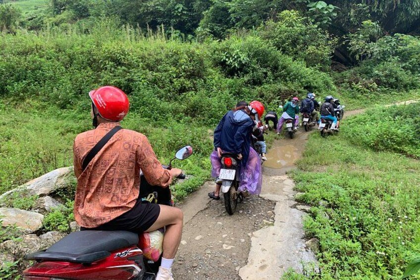 A group of motorcyclists on a narrow, unpaved path surrounded by lush greenery. 2