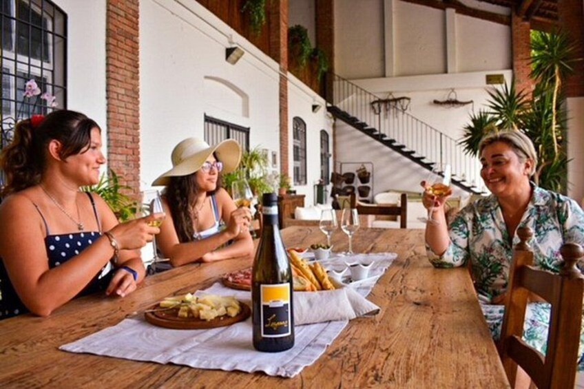 Wine Tasting and Tour of Lugana Wines in Sirmione 1