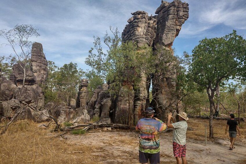 Un paesaggio naturale con formazioni rocciose e alberi. 5